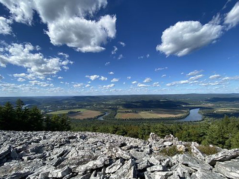 Bald Eagle State Forest - Castenea Boulder Field Loop