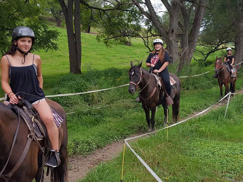 Nittany Mountain Trail Rides